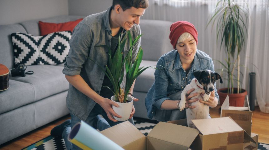 Furniture sales sluggish to kick off ’26, says DOC – Furniture Today