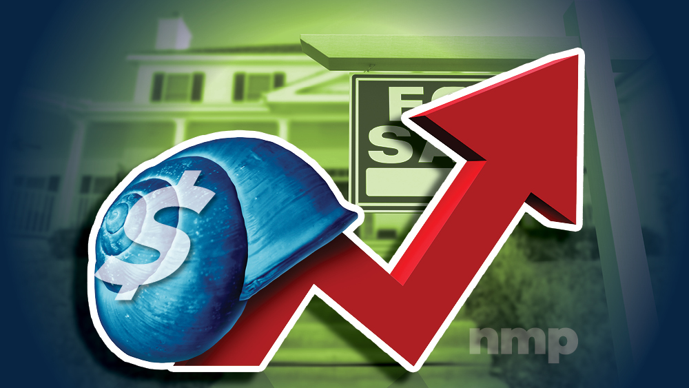 Housing Market Shift: Home Price Growth Slows To A Crawl – NMP