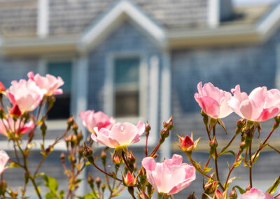 Mortgage Rates Hit Lowest Spring Level in 3 Years