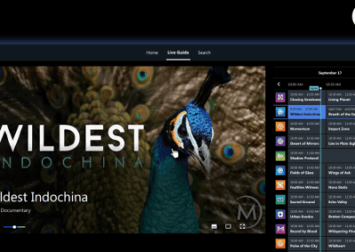 HP Quietly Launched a Streaming App to Grow Its Advertising Ambitions