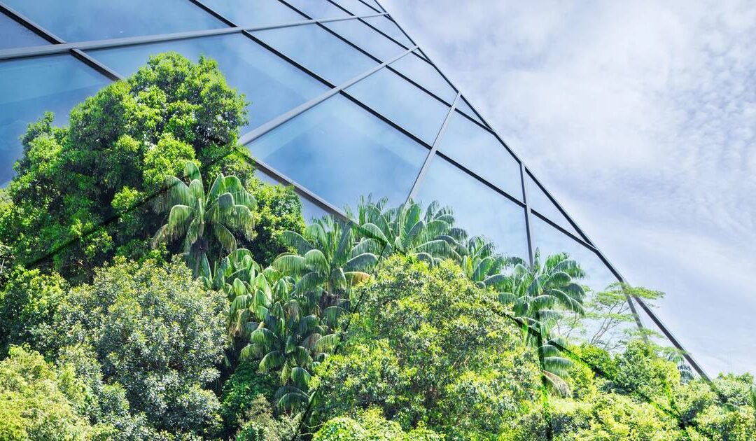 Shoppers want sustainable retail, and they’re watching closely