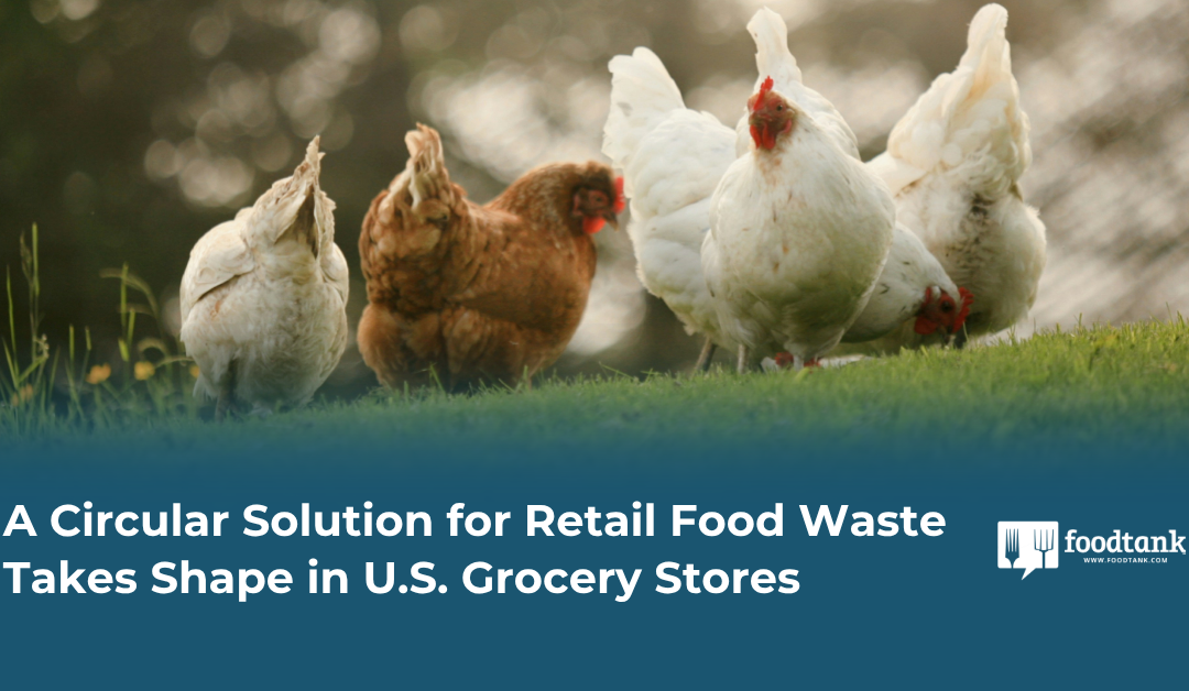 A Circular Solution for Retail Food Waste Takes Shape in U.S. Grocery Stores – Food Tank