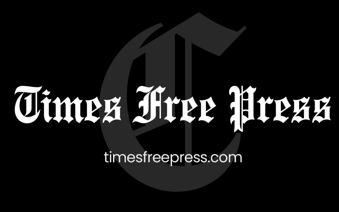 From ‘Moana’ to ‘Leviticus,’ here are summer movie breakouts you need to know | Chattanooga Times Free Press