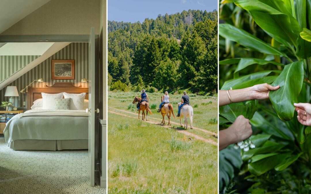 10 Hotels Helping Us Learn New Skills, From Jewelry-Making to Falconry | Condé Nast Traveler