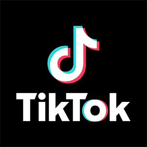 TikTok Is Turning Discovery Into a Shopping Strategy – JCK