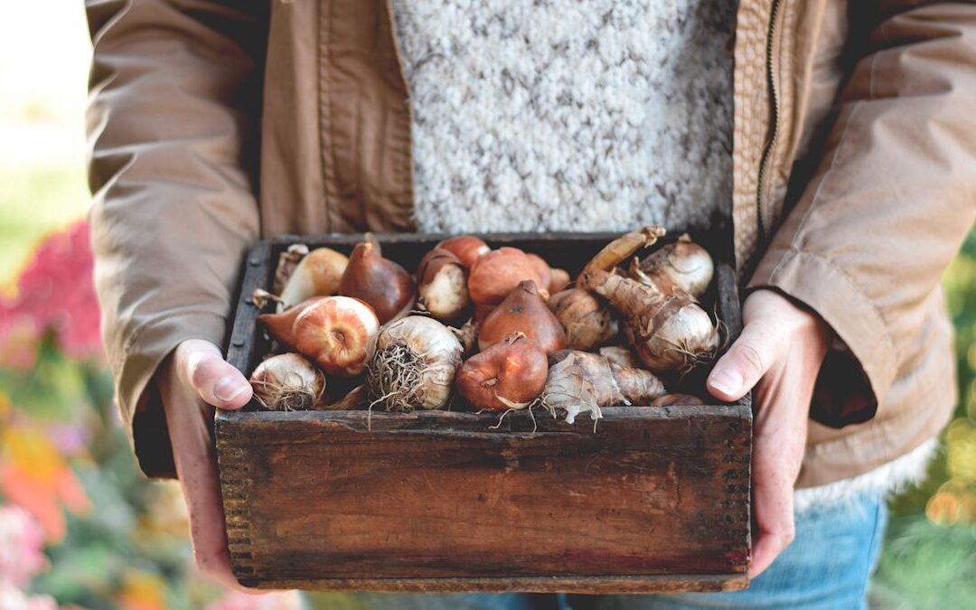 10 “Must Do” Home Projects for September