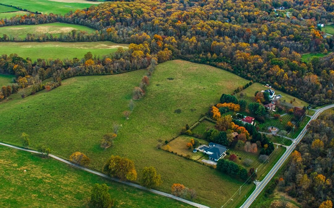 7 Ways To Refresh Your Home This Fall Without a Full-Blown Remodel
