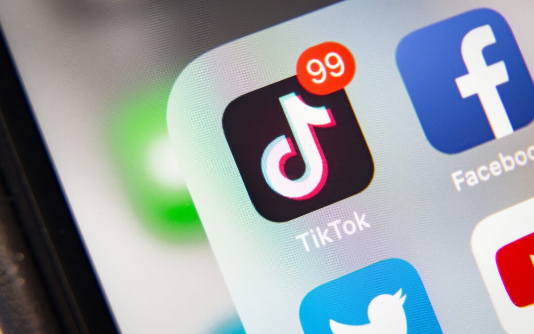Meta’s ads asked TikTok to follow its lead on safety. TikTok rejected them. – Tubefilter