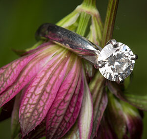 U.S. Jewelry Sales Up; Demand Shifts to Higher Price Points