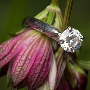 U.S. Jewelry Sales Up; Demand Shifts to Higher Price Points